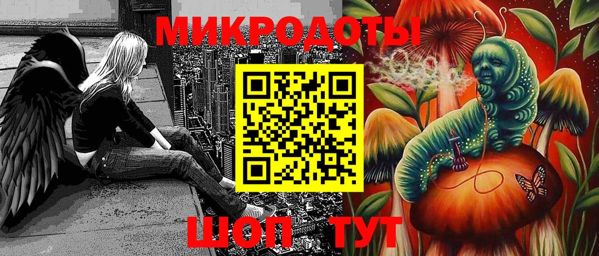 Галлюциногенные грибы Psilocybine cubensis Лесосибирск