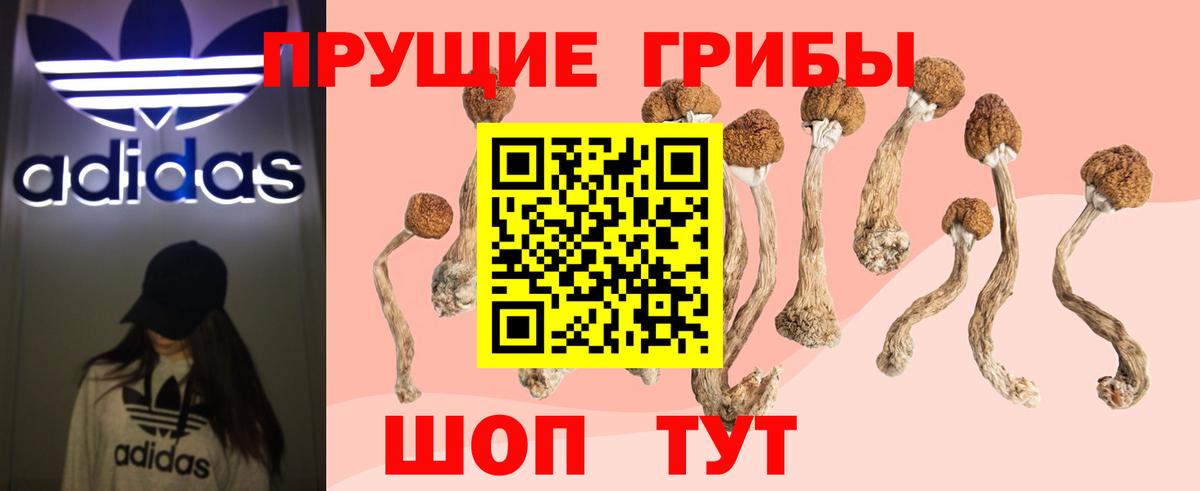 Лесосибирск  Псилоцибиновые грибы Magic Shrooms  Псилоцибиновые грибы Psilocybine cubensis  наркошоп  Вход с VPN 